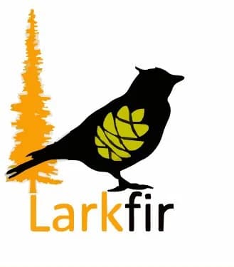 Explore the River Valley with Larkfir Conservation: Session 1 - Birds in the Afternoon